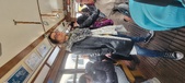 Enlarge photo 312