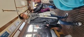 Enlarge photo 308