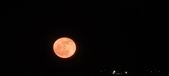 Enlarge photo 54