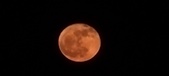 Enlarge photo 58