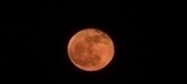 Enlarge photo 57
