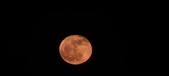 Enlarge photo 59