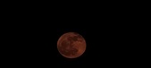Enlarge photo 60