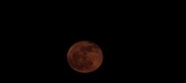 Enlarge photo 61