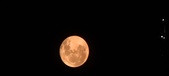 Enlarge photo 96