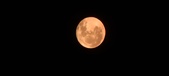 Enlarge photo 97