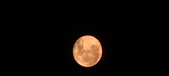 Enlarge photo 98