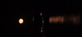 Enlarge photo 99