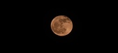 Enlarge photo 149