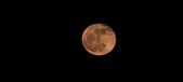 Enlarge photo 150