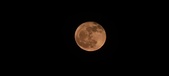 Enlarge photo 154