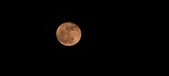 Enlarge photo 153
