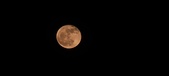 Enlarge photo 152