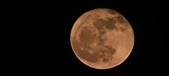 Enlarge photo 151