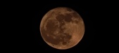 Enlarge photo 155