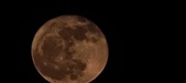 Enlarge photo 157
