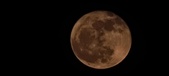 Enlarge photo 158