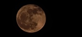 Enlarge photo 159