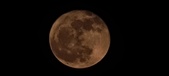 Enlarge photo 160