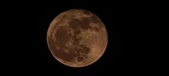 Enlarge photo 161