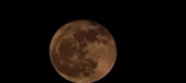 Enlarge photo 162