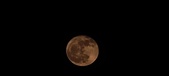 Enlarge photo 165