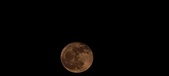 Enlarge photo 164