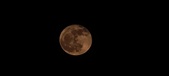 Enlarge photo 163