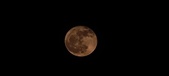 Enlarge photo 168