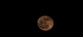 Enlarge photo 169