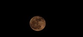 Enlarge photo 170