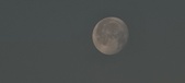 Enlarge photo 179