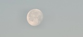 Enlarge photo 190