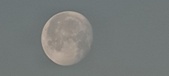 Enlarge photo 186