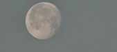 Enlarge photo 187