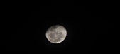 Enlarge photo 199