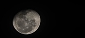 Enlarge photo 201