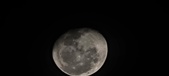 Enlarge photo 202