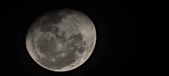 Enlarge photo 204