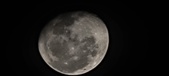 Enlarge photo 203