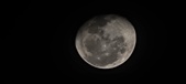 Enlarge photo 211