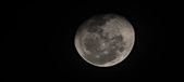 Enlarge photo 213