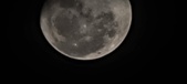 Enlarge photo 217