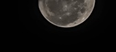 Enlarge photo 219