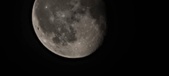 Enlarge photo 223