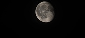 Enlarge photo 228