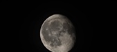 Enlarge photo 229