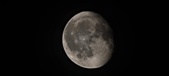 Enlarge photo 233