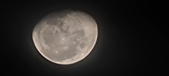 Enlarge photo 241