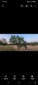 Enlarge photo 77